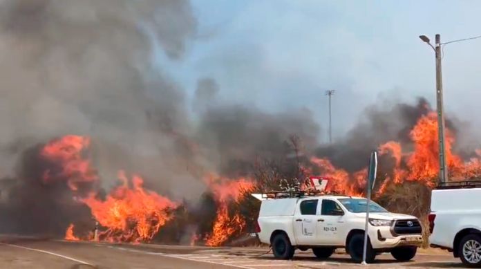 incendio fermoselle siete