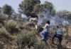 Los vecinos de Fermoselle sospechan que el incendio fue provocado