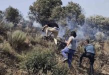 Los vecinos de Fermoselle sospechan que el incendio fue provocado