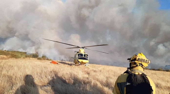 Estabilizado el incendio forestal declarado en Tola