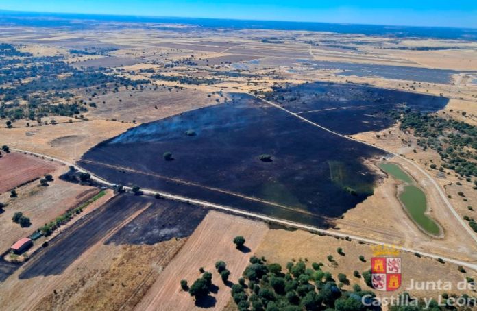 incendio muelas