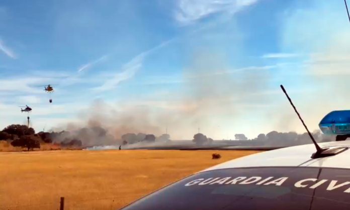 incendio nivel 1 muelas