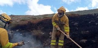 Declarado un incendio forestal en Pozuelo de Tábara