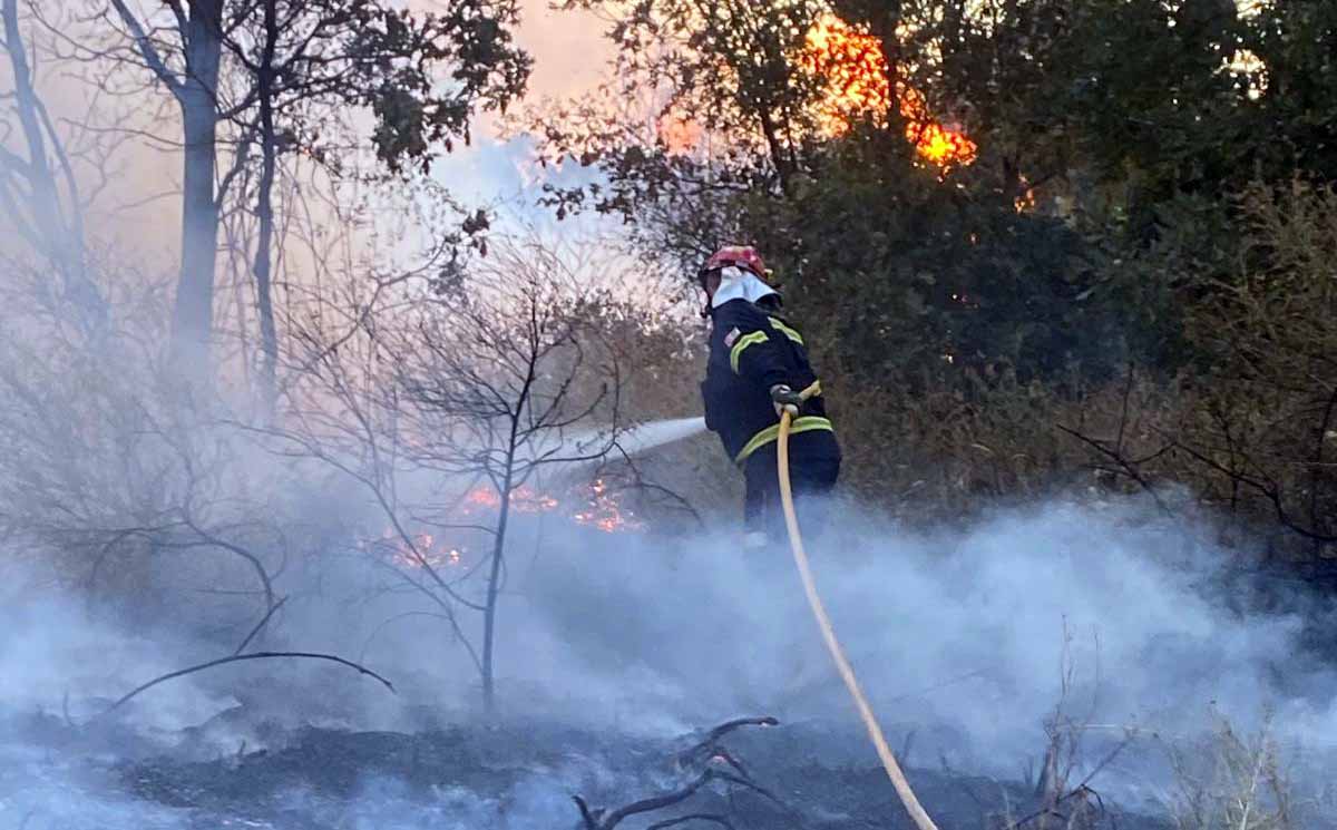 incendio rabano aliste cuatro