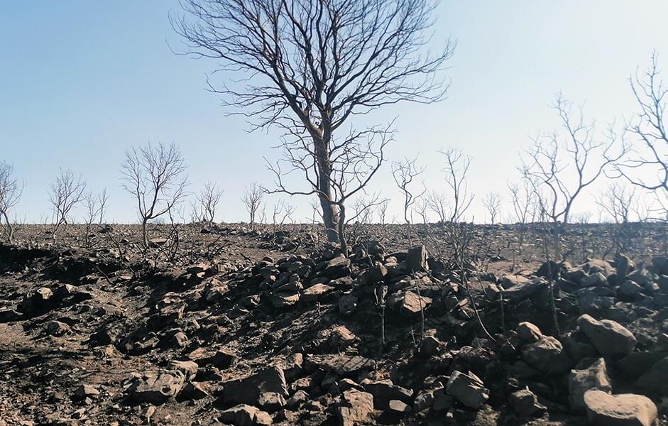 incendio sierra culebra