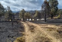CRIOSANABRIA urge a apostar por la prevención frente a los incendios con motivo del Día Internacional para la Reducción del Riesgo de Desastres