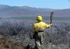 Controlados dos incendios forestales en Ferreruela de Tábara y San Román de Sanabria