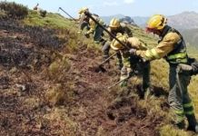 Zamora registra 46 rayos durante la jornada de tormentas y mantiene la vigilancia ante posibles incendios latentes