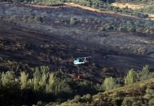 Tres autónomos y pymes de Zamora recibirán ayudas directas de 5.500 euros por los incendios