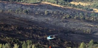 Tres autónomos y pymes de Zamora recibirán ayudas directas de 5.500 euros por los incendios