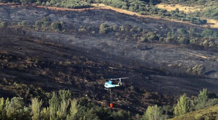Tres autónomos y pymes de Zamora recibirán ayudas directas de 5.500 euros por los incendios