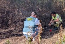 La Guardia Civil detiene a dos personas por los incendios forestales de Cerezal de Aliste y Santa Eufemia del Barco