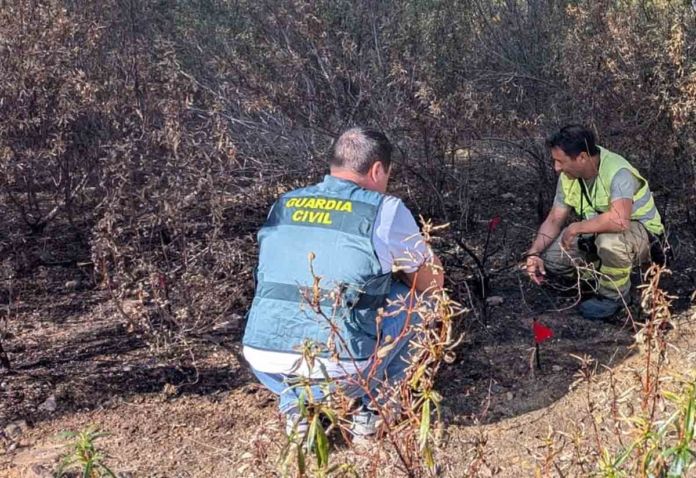 incendios investigación