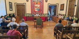 La mesa del Tren exigirá a Renfe la declaración de servicio público y más frecuencias para los trenes hacia Madrid