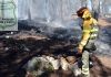 Zamora, en riesgo extremo de incendios este fin de semana