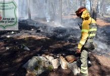 Zamora, en riesgo extremo de incendios este fin de semana