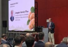 Castilla y León prepara una marca de calidad para distinguir su patata y mejorar la rentabilidad de los agricultores