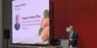 Castilla y León prepara una marca de calidad para distinguir su patata y mejorar la rentabilidad de los agricultores