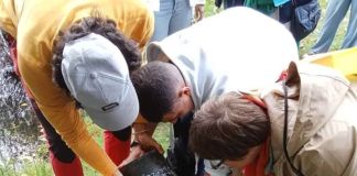 Criosanabria arranca su programación de otoño con plantaciones de negrillos resistentes a la grafiosis y actividades culturales
