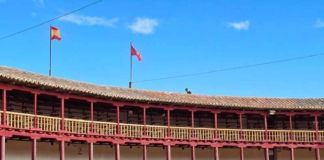 Comienzan las obras de mantenimiento y reparación de las cubiertas de la plaza de toros de Toro