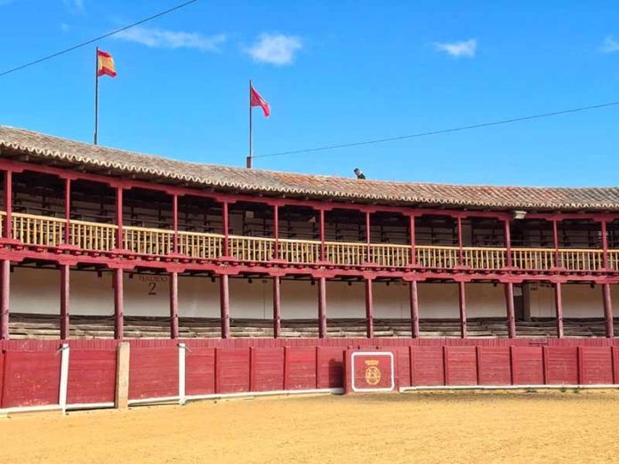 plaza toros toro