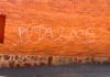 El PSOE de Zamora condena las pintadas contra una concejala de Castrogonzalo y las califica de «ataque a la democracia»