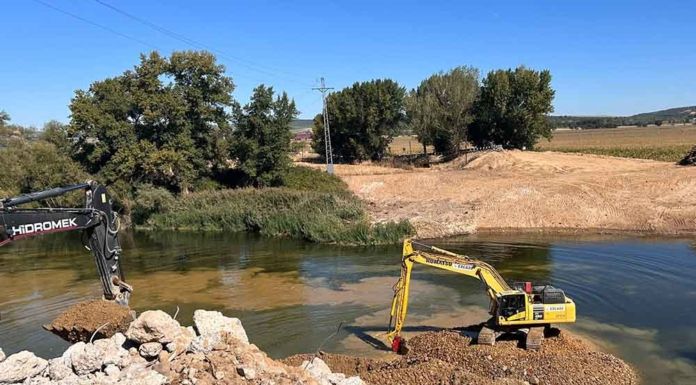 La Diputación concluye el derribo del puente sobre el Duero y licitará la nueva infraestructura por 5,9 millones de euros