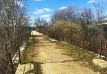 La Diputación invierte 531.000 euros en rehabilitar el puente centenario de Manganeses de la Polvorosa