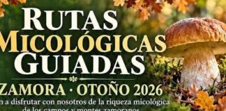 El Ayuntamiento de Rabanales impulsa rutas micológicas a medida para descubrir el otoño de Aliste en 2026