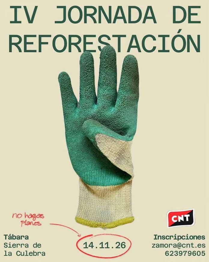 reforestacion cnt