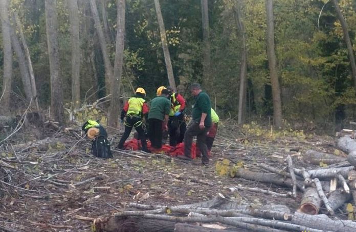 El grupo de rescate de la Junta auxilia a un trabajador herido en una ...