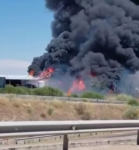 roales diputacion bomberos