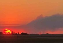 La Junta prolonga la situación de alerta por riesgo meteorológico de incendios forestales en toda la Comunidad para los días 1 y 2 de agosto