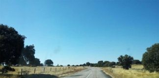 UPL lleva a las Cortes el deterioro de la carretera que conecta Zamora con Ledesma