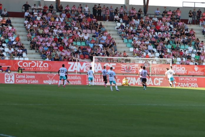 zamora lugo