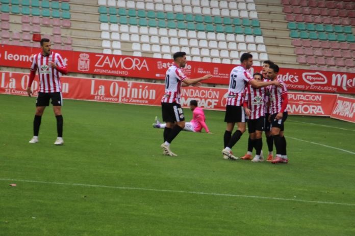 zamora talavera